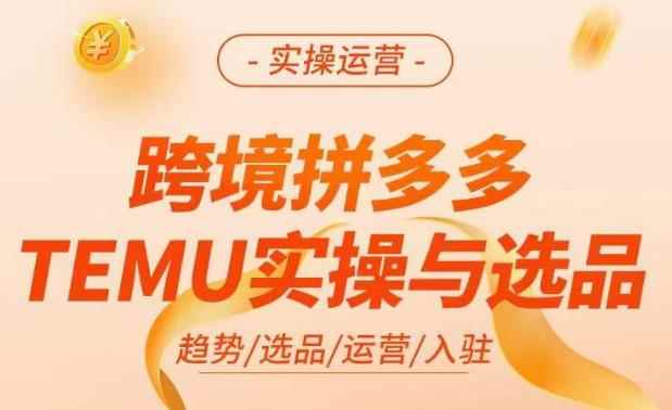 跨境拼多多TEMU实操与选品，​掌握平台运营方法技巧，选品避坑12条标准，爆款的底层思路等-咩咩网络