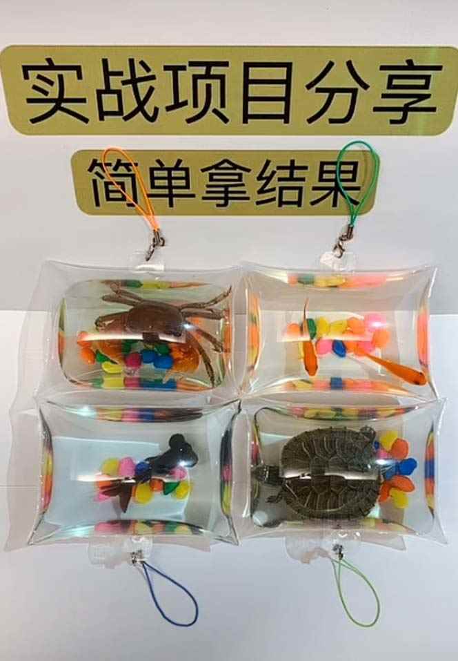 图片[3]-（5392期）最近抖音很火的泡泡鱼手工小成本地摊创业项目，日賺500+项目课程解析-咩咩网络