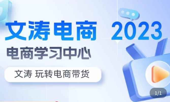 文涛电商·7天零基础自然流起号，​快速掌握店铺运营的核心玩法，突破自然展现量，玩转直播带货-咩咩网络