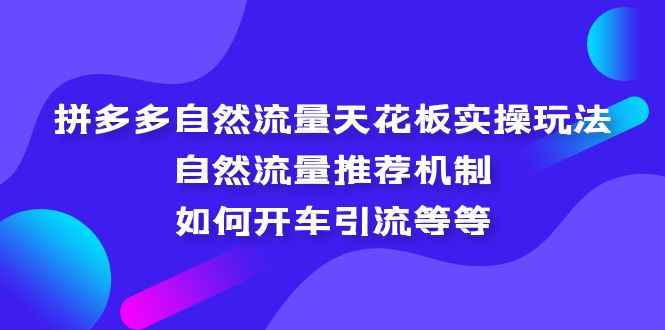 （5327期）拼多多自然流量天花板实操玩法：自然流量推荐机制，如何开车引流等等-咩咩网络