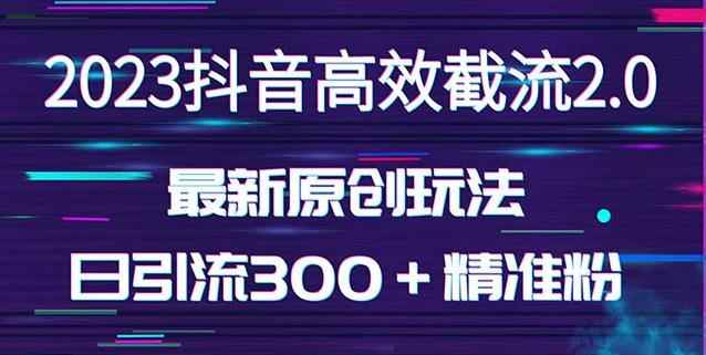 日引300＋创业粉，独家抖音高效截流2.0玩法（价值1280）-咩咩网络