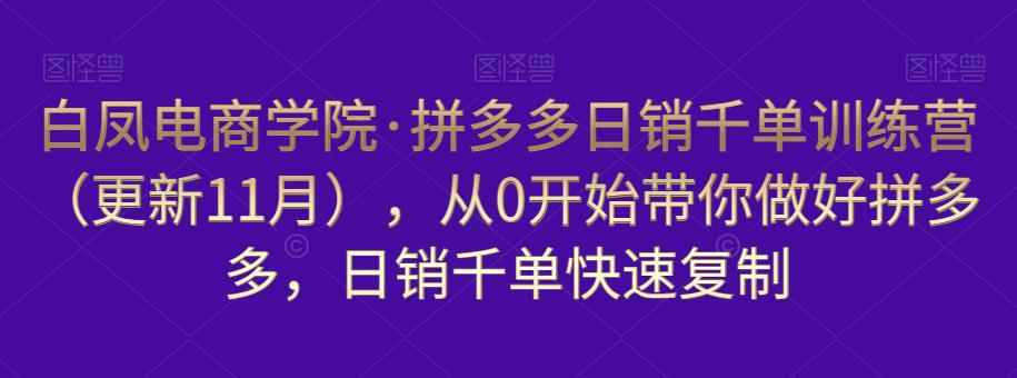 白凤电商学院·拼多多日销千单训练营，从0开始带你做好拼多多，日销千单快速复制（更新知2023年3月）-咩咩网络