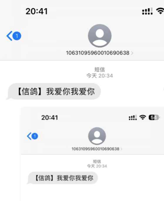 图片[2]-（5270期）冷门月入过万的匿名短信项目搭建教程【网站源码+网站搭建视频教程】-咩咩网络