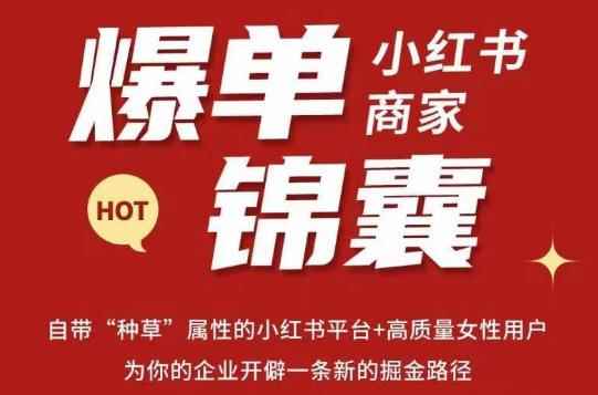 无畏·小红书商家爆单锦囊，掌握小红书各大规则，快速精准抢占行业和市场-咩咩网络