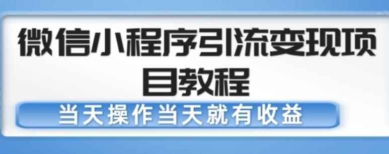 微信小程序引流变现项目教程，当天操作当天就有收益，变现不再是难事-咩咩网络