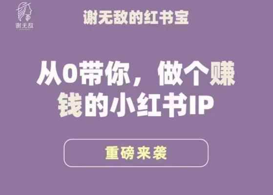 谢无敌·小红书运营大宝典，从0带你做个赚钱的小红书IP-咩咩网络