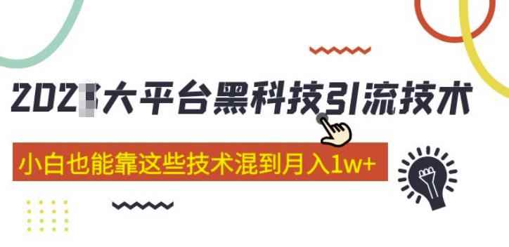 大平台黑科技引流技术，小白也能靠这些技术混到月入1w+(2022年的课程）-咩咩网络