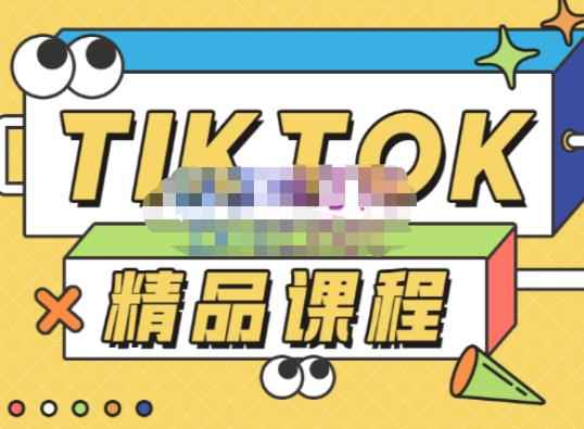 电商孵化中心·TikTok精品课程，教你玩转海外抖音，低成本创业，带您从0开始玩转TikTok-咩咩网络