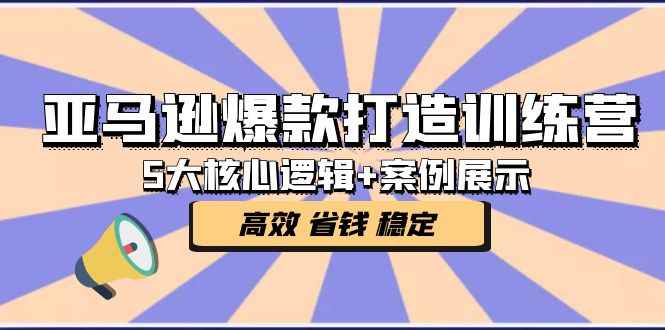 （5107期）亚马逊爆款打造训练营：5大核心逻辑+案例展示 打造爆款链接 高效 省钱 稳定-咩咩网络