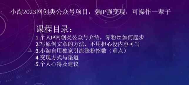 小淘2023网创类公众号项目，强IP强变现，可操作一辈子-咩咩网络