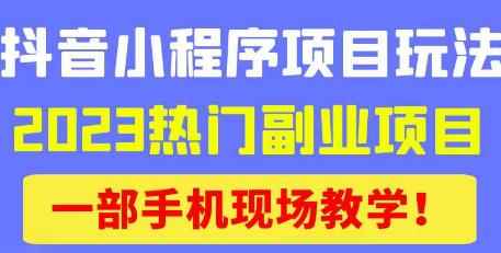 抖音小程序9.0新技巧，2023热门副业项目，动动手指轻松变现-咩咩网络