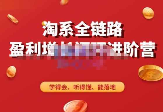 淘系全链路盈利增长闭环进阶营，融合全店动销，学得会、听得懂、能落地！-咩咩网络
