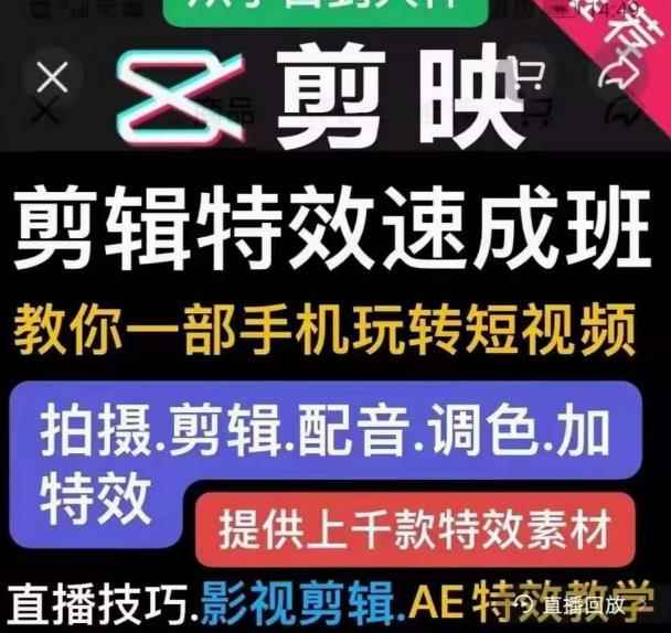 特效罗剪辑特效速成班：一部手机玩转短视频提供上千款特效素材【无水印】-咩咩网络