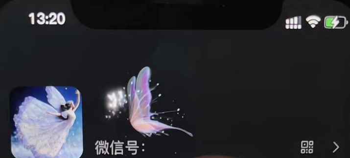 图片[3]-（4980期）微信动态昵称设置方法，可抖音直播引流，日赚上百【详细视频教程+素材】-咩咩网络