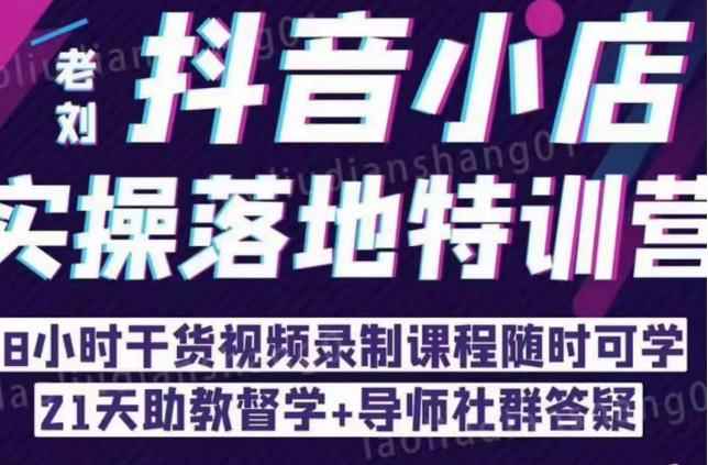 抖音小店实操落地特训营：抖音小店无货源精细化运营，抖店商品卡流量（22节）-咩咩网络