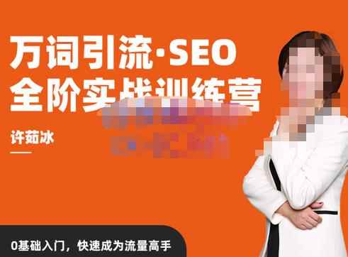 许茹冰·万词引流-SEO全阶实战训练营，0基础入门，快速成为流量高手-咩咩网络