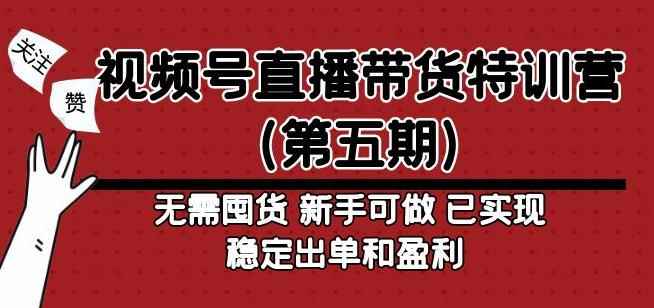 视频号直播带货特训营（第五期）无需囤货，新手可做，已实现稳定出单和盈利-咩咩网络