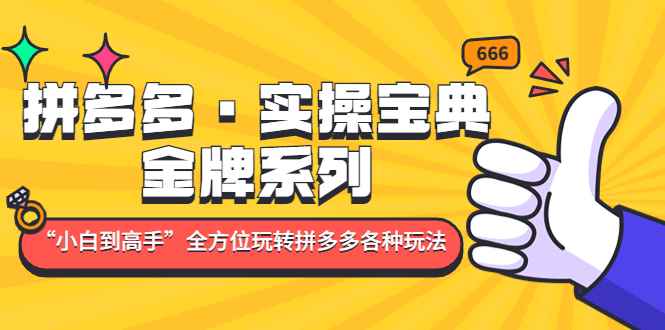 （4934期）拼多多·实操宝典：金牌系列“小白到高手”带你全方位玩转拼多多各种玩法-咩咩网络