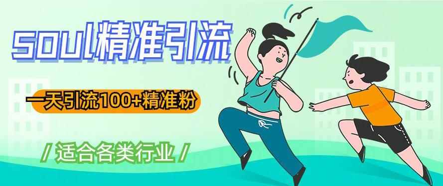 soul精准引流系列课程，一天引流100+精准粉，适合各类行业-咩咩网络