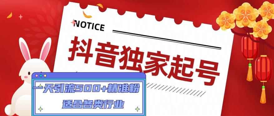 （4906期）抖音独家起号，一天引流500+精准粉，适合各类行业（9节视频课）-咩咩网络