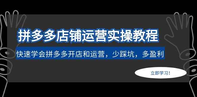 （4883期）拼多多店铺运营实操教程：快速学会拼多多开店和运营，少踩坑，多盈利-咩咩网络