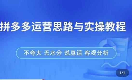 拼多多店铺运营思路与实操教程，快速学会拼多多开店和运营，少踩坑，多盈利-咩咩网络