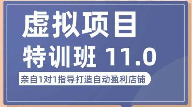 陆明明·虚拟项目特训班（10.0+11.0），0成本获取虚拟素材，0基础打造自动盈利店铺-咩咩网络