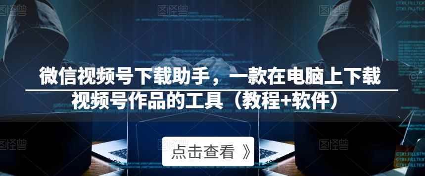 微信视频号下载助手，一款在电脑上下载视频号作品的工具（教程+软件）-咩咩网络