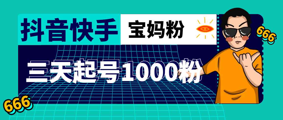 （4818期）抖音快手三天起号涨粉1000宝妈粉丝的核心方法【详细玩法教程】-咩咩网络