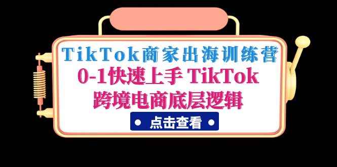 （4795期）TikTok商家出海训练营：0-1快速上手 TikTok跨境电商底层逻辑(无中创水印)-咩咩网络