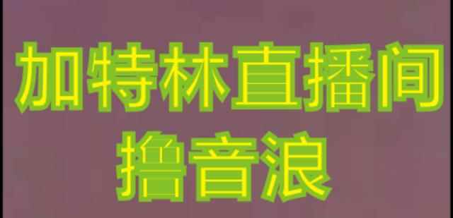 抖音加特林直播间搭建技术，抖音0粉开播，暴力撸音浪，2023新口子，每天800+【素材+详细教程】-咩咩网络
