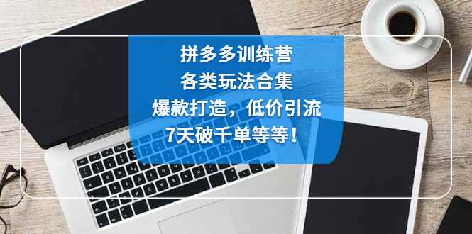 （4693期）拼多多训练营：各玩法合集，爆款打造，低价引流，7天破千单等等！-咩咩网络