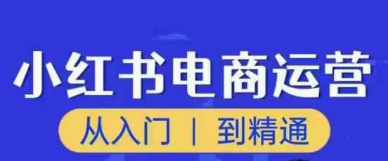 顽石小红书电商高阶运营课程，从入门到精通，玩法流程持续更新-咩咩网络
