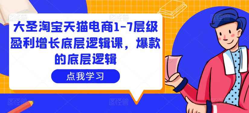 大圣淘宝天猫电商1-7层级盈利增长底层逻辑课，爆款的底层逻辑-咩咩网络
