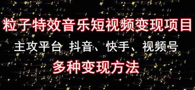 黄岛主《粒子特效音乐短视频变现项目》主攻平台抖音、快手、视频号多种变现方法-咩咩网络