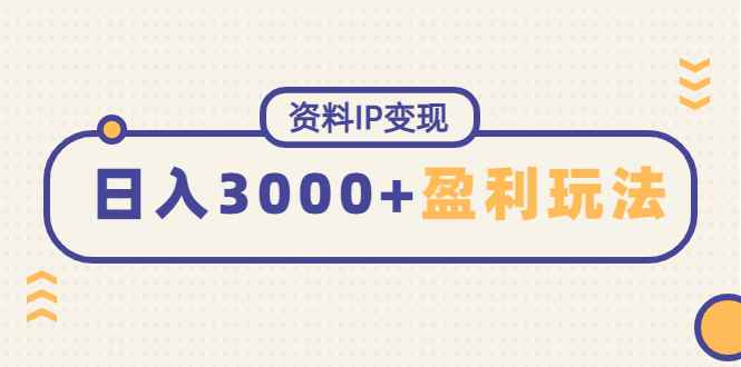 （4576期）资料IP变现，能稳定日赚3000起的持续性盈利玩法-咩咩网络