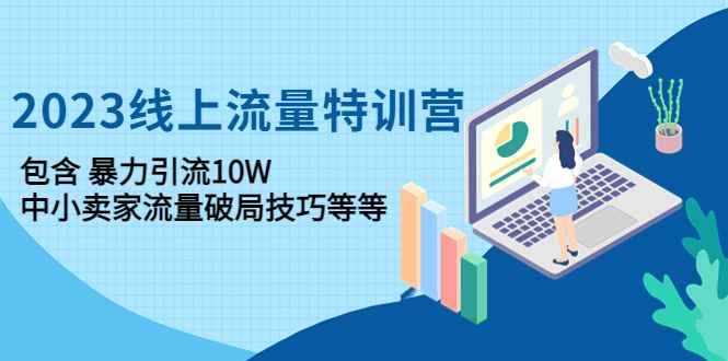 （4567期）2023线上流量特训营：包含暴力引流10W+中小卖家流量破局技巧等等-咩咩网络