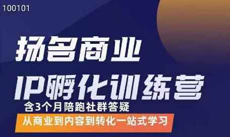 王扬名·商业IP孵化训练营，从商业到内容到转化一站式学习-咩咩网络