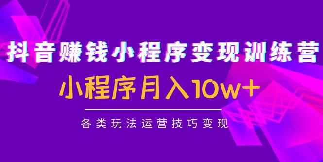 （4511期）抖音赚钱小程序变现训练营：小程序月入10w+各类玩法运营技巧变现-咩咩网络