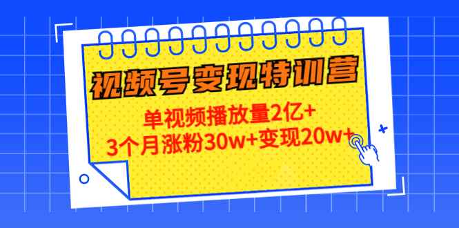 （4455期）20天视频号变现特训营：单视频播放量2亿+3个月涨粉30w+变现20w+-咩咩网络