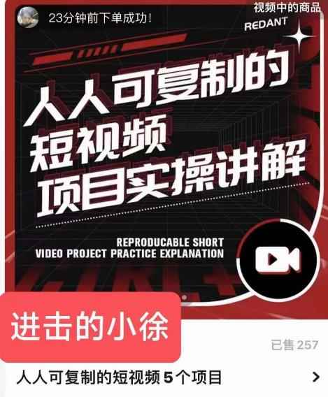 进击的小徐·人人可复制的短视频5个项目，实操讲解年销售额八位数级别项目-咩咩网络