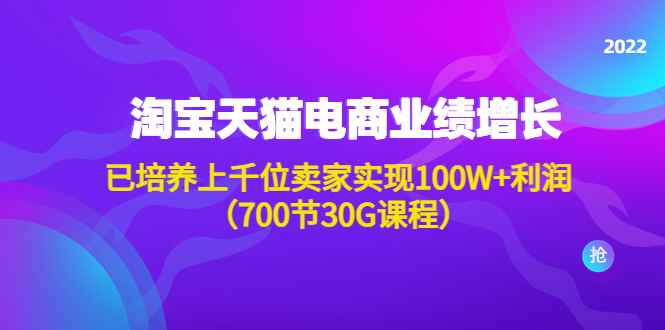 （4409期）淘系天猫电商业绩增长：已培养上千位卖家实现100W+利润（700节30G课程）-咩咩网络