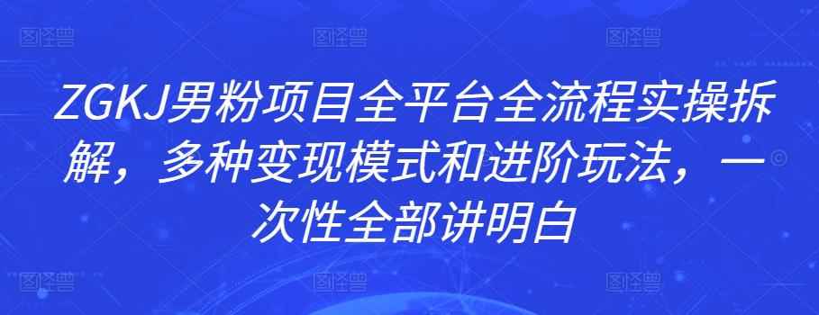 ZGKJ男粉项目全平台全流程实操拆解，多种变现模式和进阶玩法，一次性全部讲明白-咩咩网络