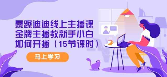 暴躁迪迪线上主播课，金牌主播教新手小白如何开播（15节课时）-咩咩网络