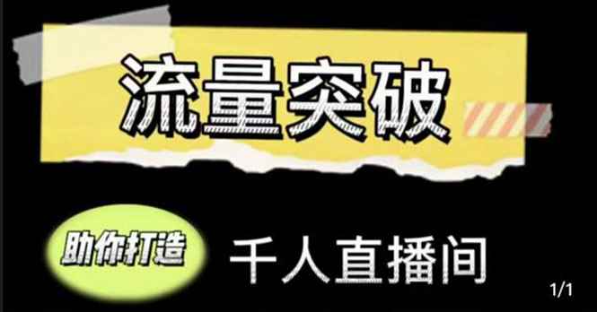 （4163期）直播运营实战视频课，助你打造千人直播间（14节视频课）-咩咩网络