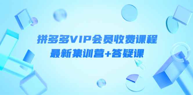 （4127期）某社群·拼多多VIP会员收费课程，最新集训营+答疑课-价值3299元-咩咩网络