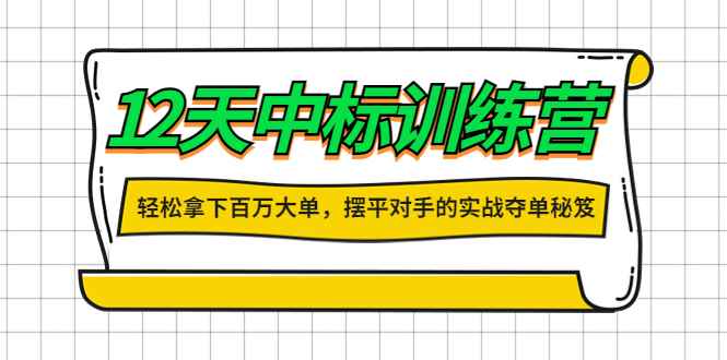 （4116期）12天中标训练营：轻松拿下百万大单，摆平对手的实战夺单秘笈！-咩咩网络