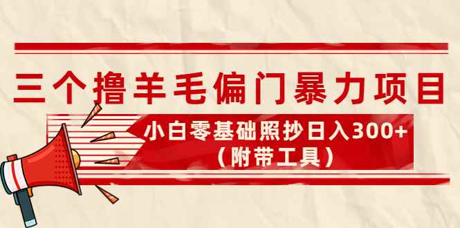 （4110期）外面卖998的三个撸羊毛偏门暴力项目，小白零基础照抄日入300+（附带工具）-咩咩网络