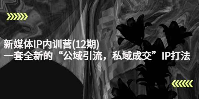 （4103期）新媒体IP内训营(12期)，一套全新的“公域引流，私域成交”IP打法，直接带走-咩咩网络