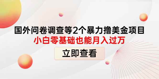 （4062期）国外问卷调查等2个暴力撸美金项目，小白零基础也能月入过万-咩咩网络